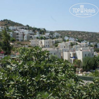 фото из отзыва ID 557196