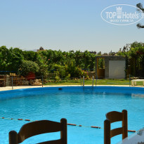 фото из отзыва ID 557200