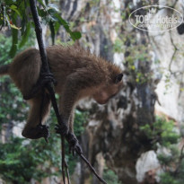 фото из отзыва ID 557281