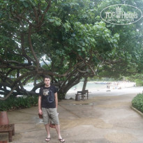 фото из отзыва ID 557281