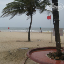 фото из отзыва ID 557282