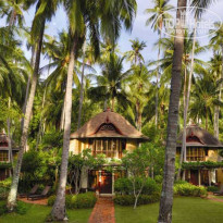 фото из отзыва ID 557281