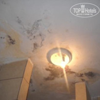 фото из отзыва ID 557384