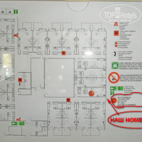 фото из отзыва ID 557511