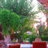 фото из отзыва ID 557623