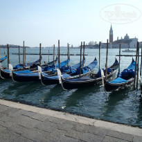 фото из отзыва ID 557640