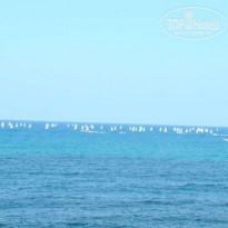 фото из отзыва ID 55840