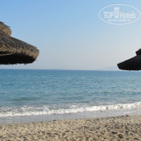 фото из отзыва ID 558041