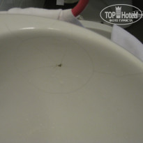 фото из отзыва ID 558270