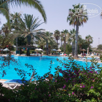 фото из отзыва ID 558404