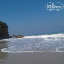 фото из отзыва ID 558774