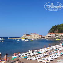 фото из отзыва ID 558900