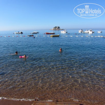 фото из отзыва ID 558900