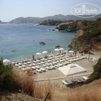 фото из отзыва ID 558984