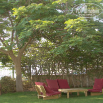 фото из отзыва ID 558836