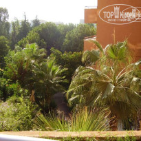 фото из отзыва ID 55958