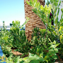 фото из отзыва ID 559577