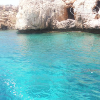 фото из отзыва ID 559083