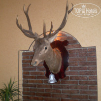 фото из отзыва ID 559269