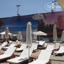 фото из отзыва ID 559365