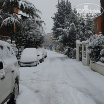 фото из отзыва ID 559450