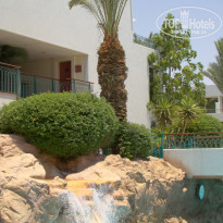 фото из отзыва ID 559893