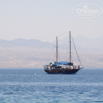 фото из отзыва ID 559893