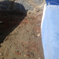 фото из отзыва ID 560012