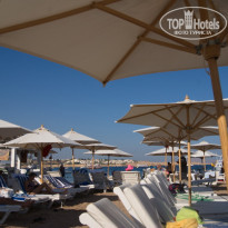 фото из отзыва ID 560067