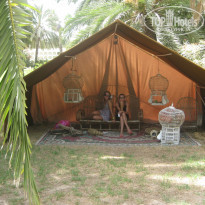 фото из отзыва ID 560083