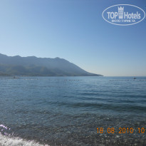 фото из отзыва ID 560479