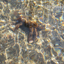 фото из отзыва ID 560581