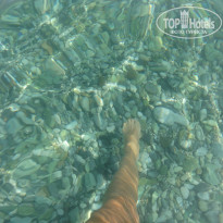 фото из отзыва ID 560782