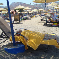 фото из отзыва ID 560979