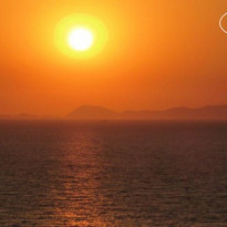 фото из отзыва ID 560837