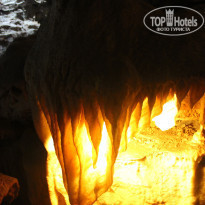 фото из отзыва ID 561037