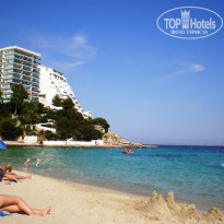 фото из отзыва ID 561206