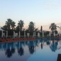 фото из отзыва ID 561543