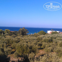 фото из отзыва ID 561657