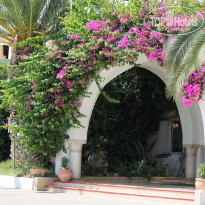 фото из отзыва ID 561724