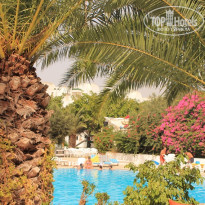 фото из отзыва ID 561724