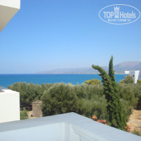 фото из отзыва ID 561861