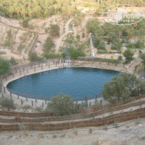 фото из отзыва ID 561148