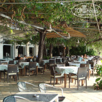 фото из отзыва ID 562039