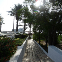 фото из отзыва ID 562116