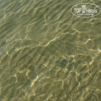 фото из отзыва ID 562116