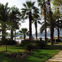 фото из отзыва ID 562303