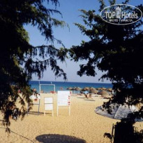 фото из отзыва ID 562303