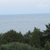 фото из отзыва ID 562324