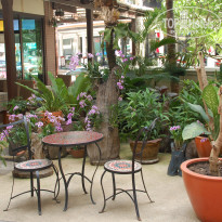 фото из отзыва ID 562485